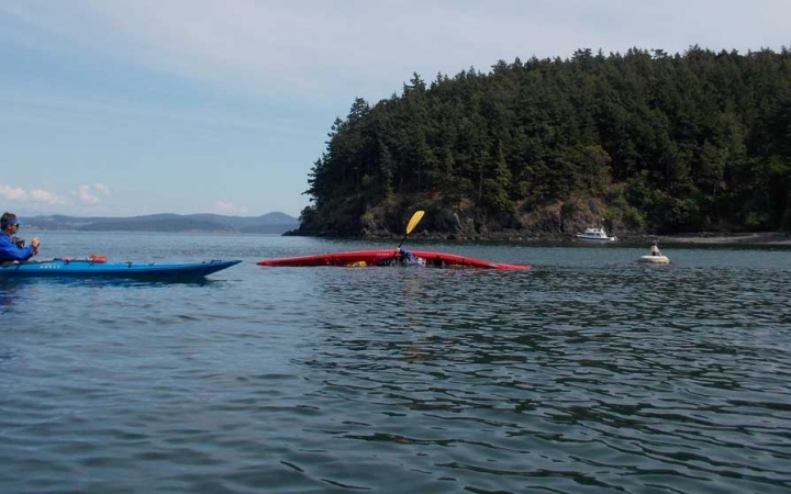 sea kayaking expedition for adults